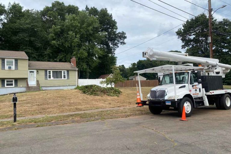 cheshire stump grinding company