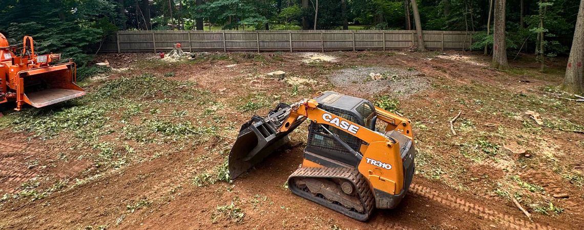 tree service Cheshire CT