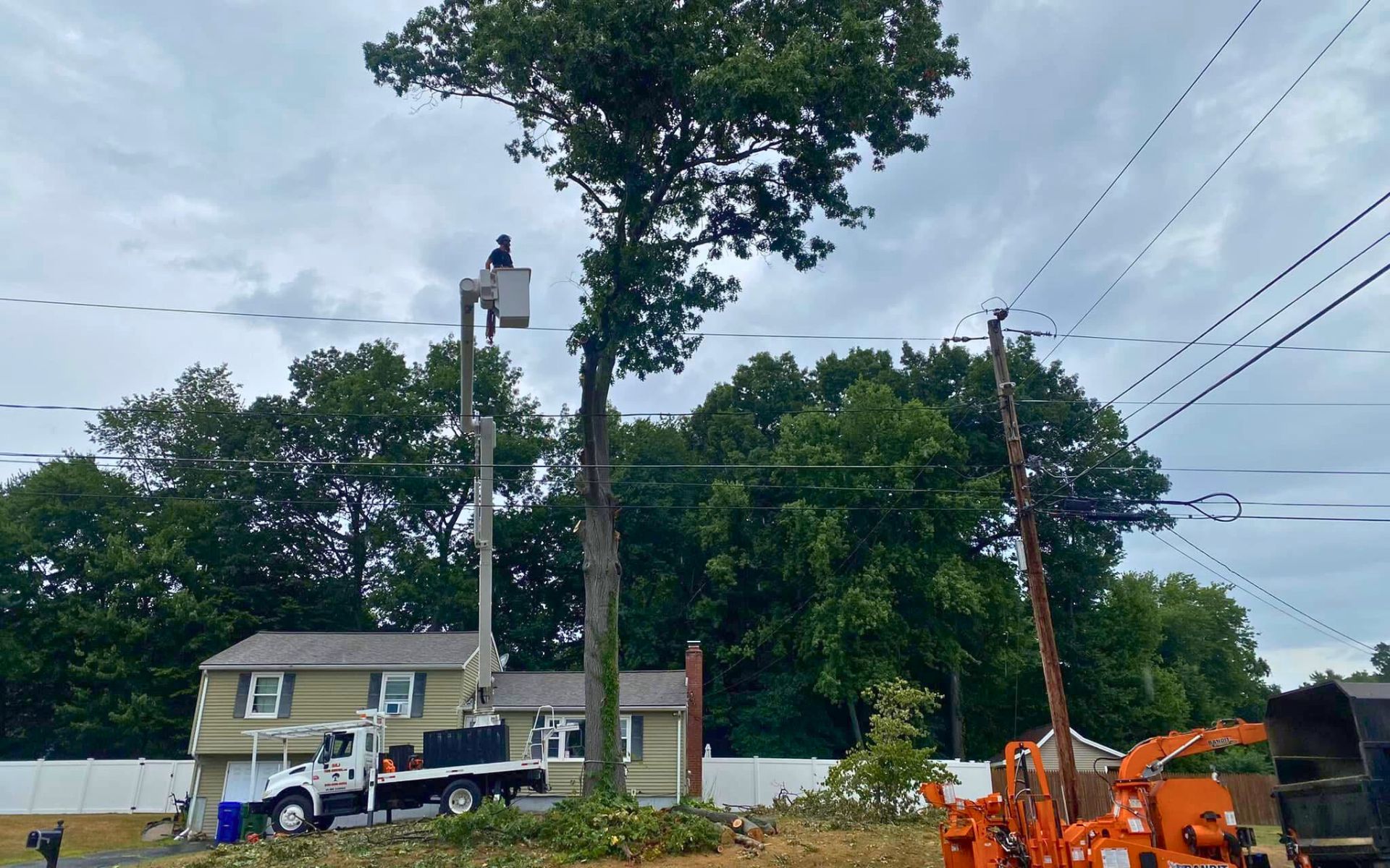 Southington CT tree removal