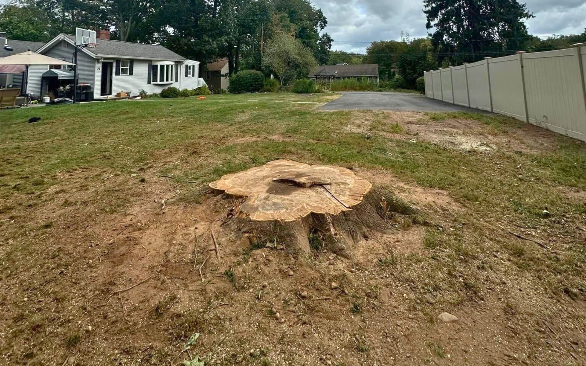 Southington stump grinding company