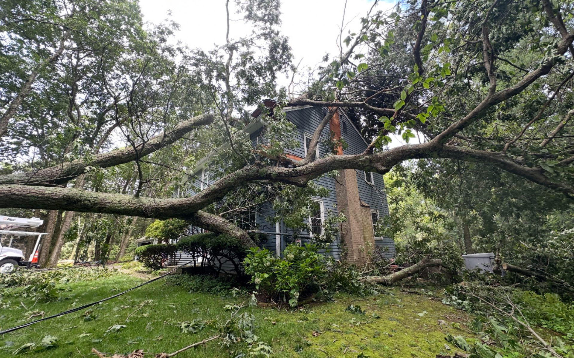 Southington tree service