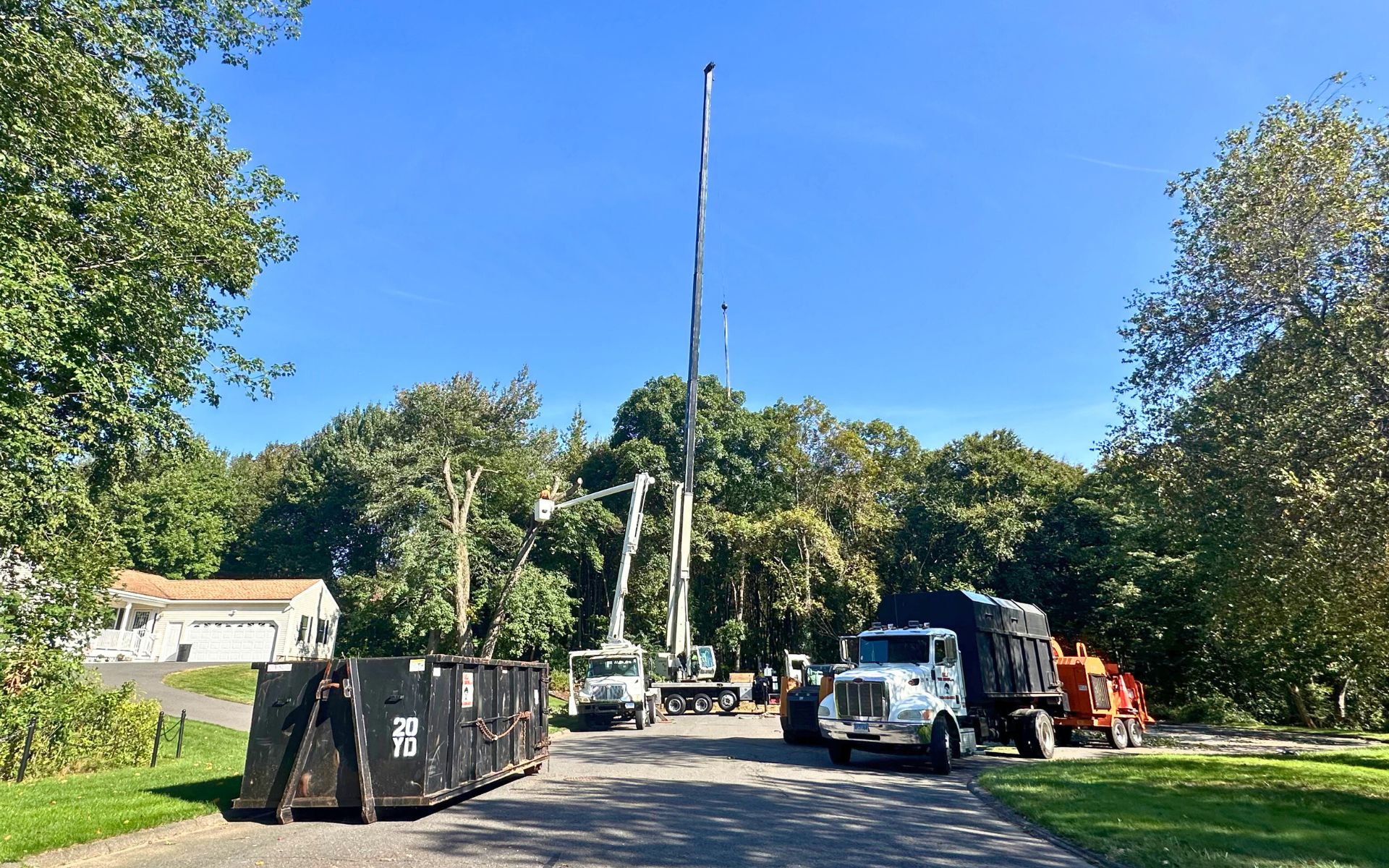 tree removal Southington