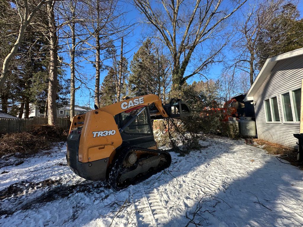 stump grinding Bristol CT