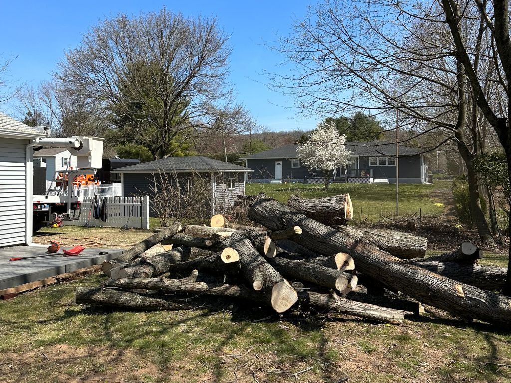 tree removal New Hartford CT