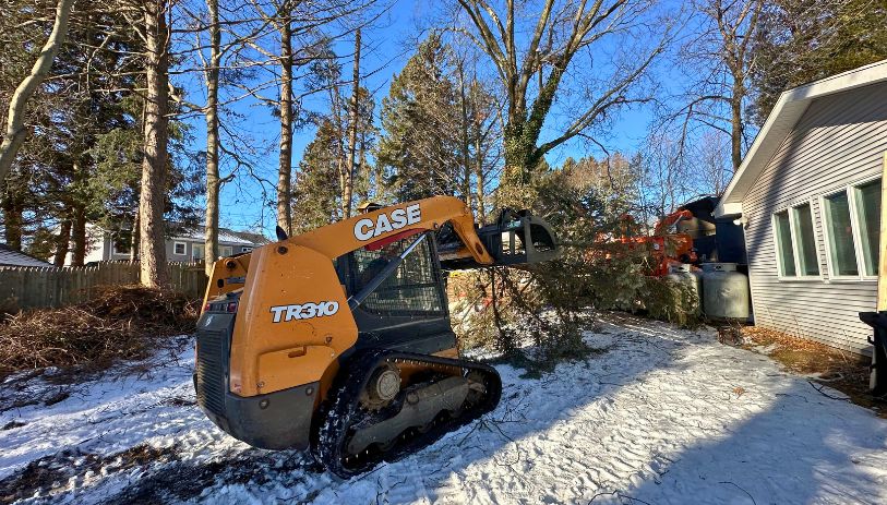 tree service avon