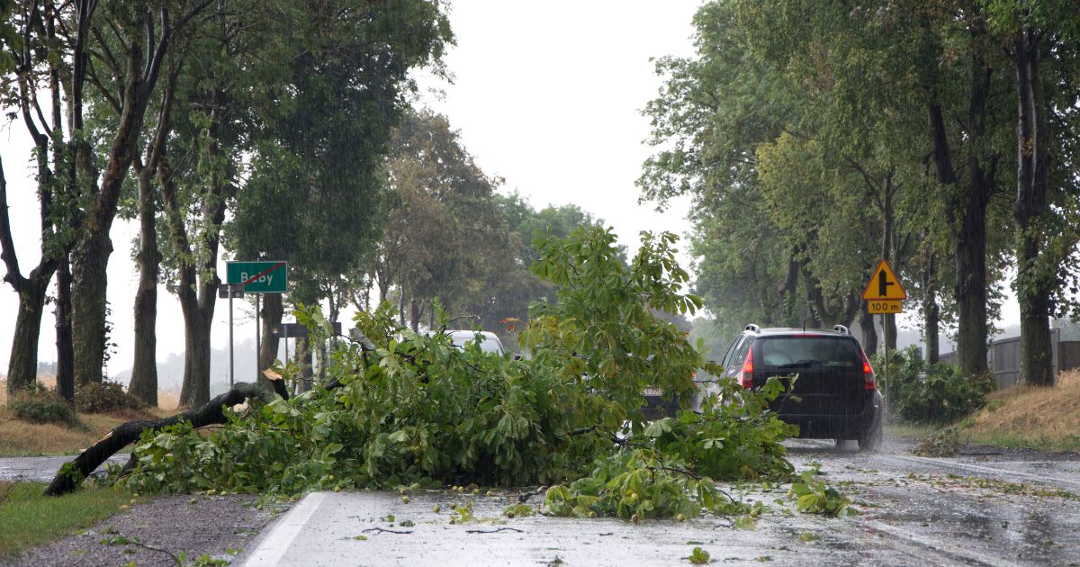 Bristol CT emergency storm damage service