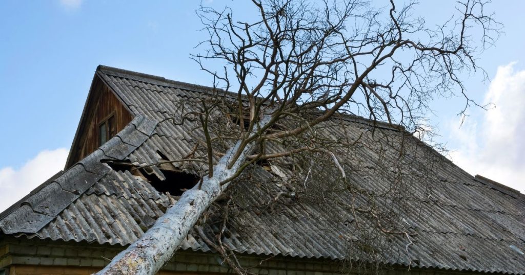 Bristol CT emergency storm damage service