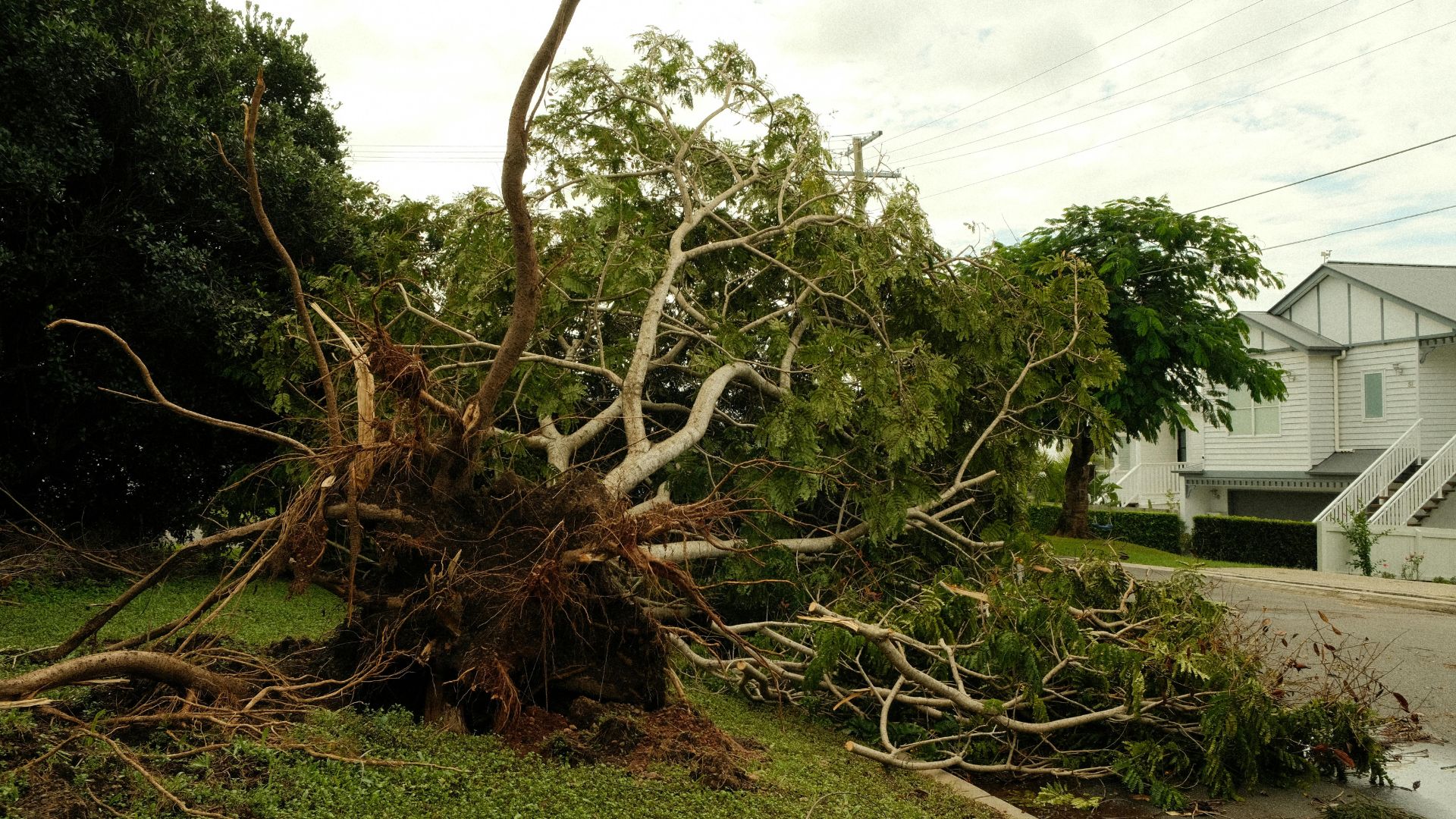 Bristol CT emergency storm damage service