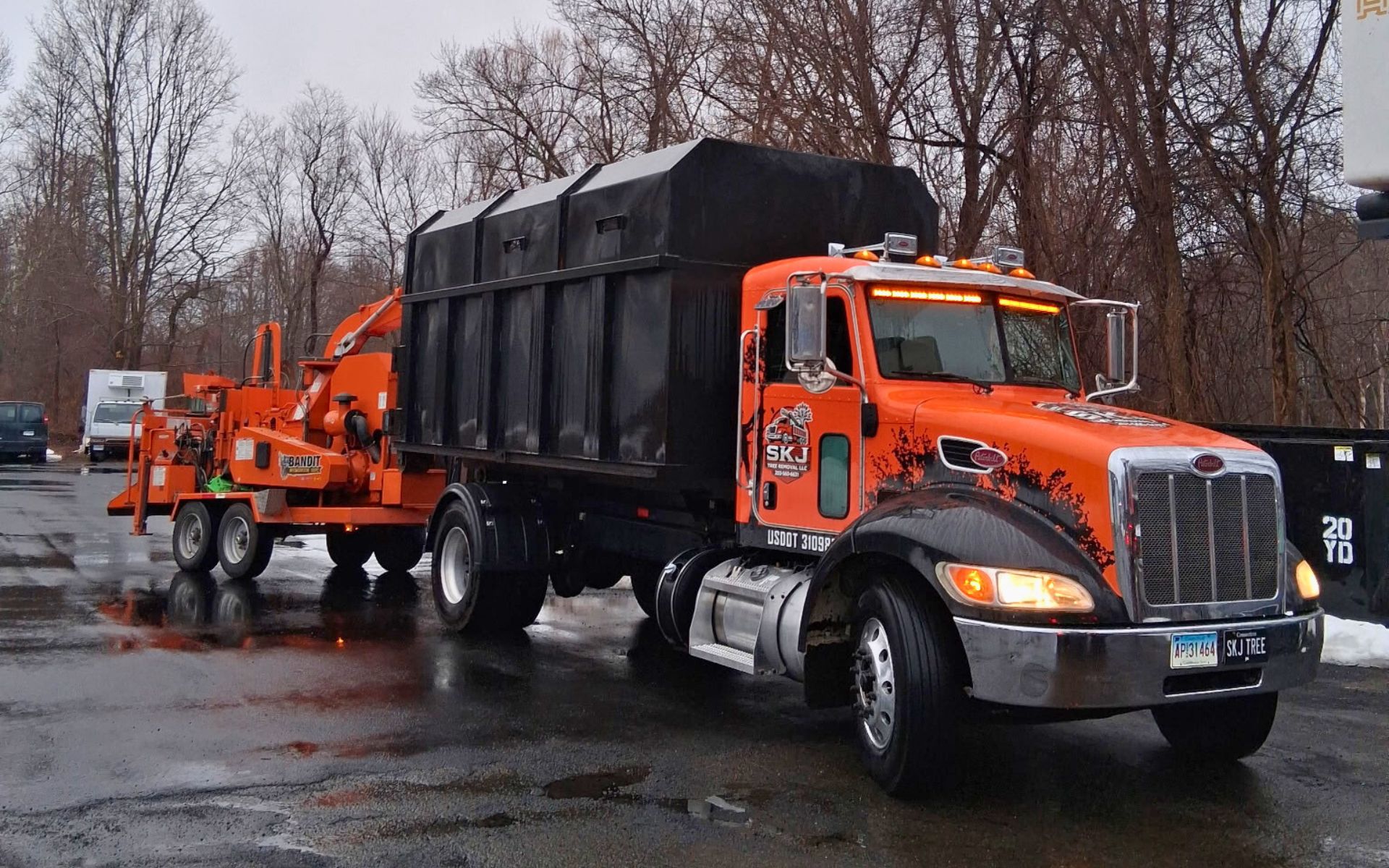 cheshire ct tree service